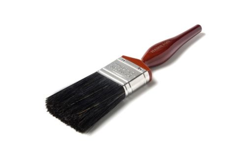 ACORN-PAINT BRUSH 2
